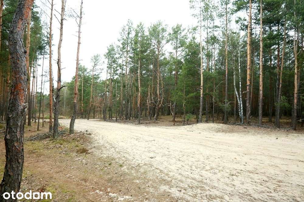 Działka inwestycyjna - Pełny obrazek: 2/3