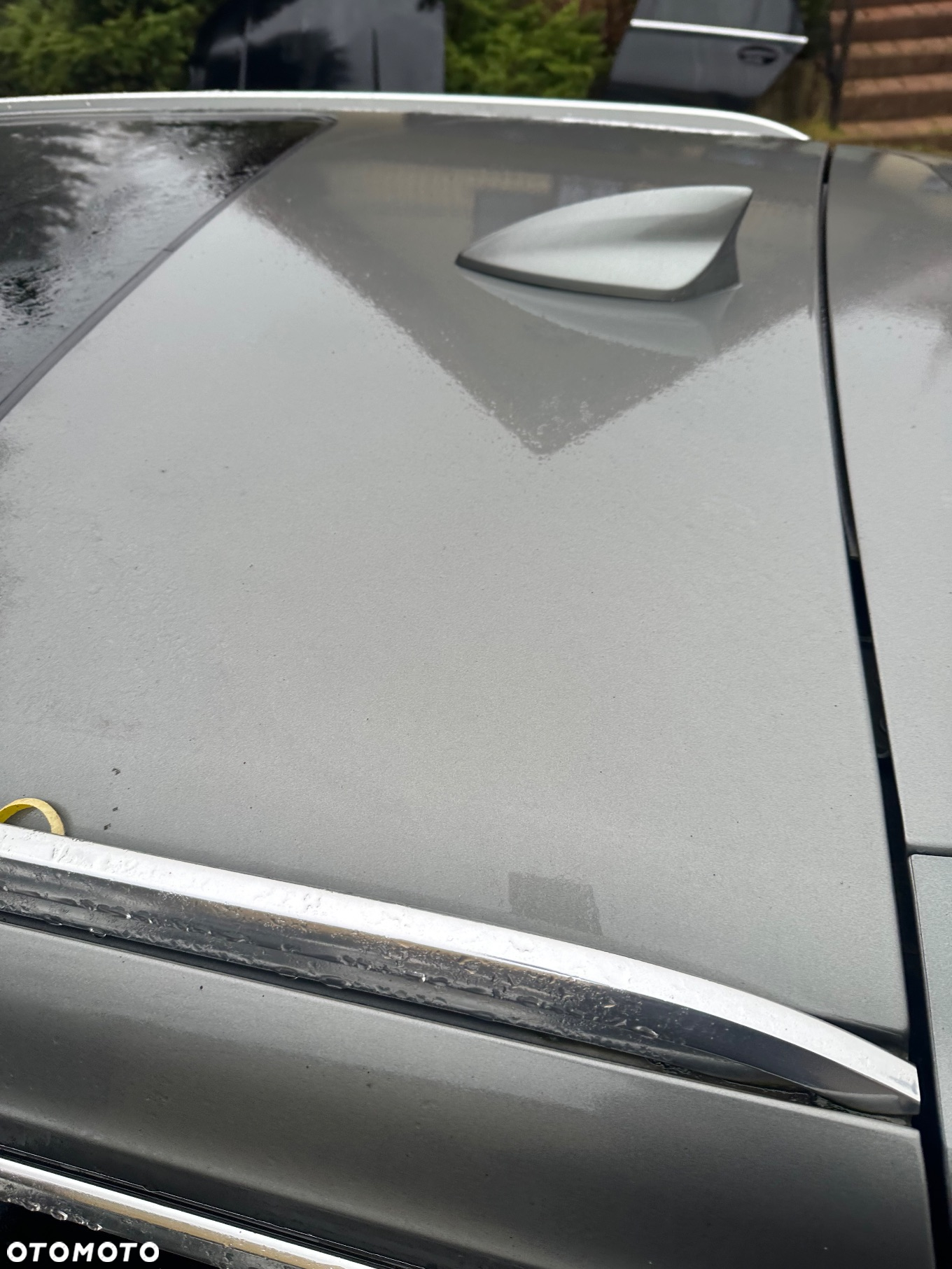 Dach z panoramą Insignia B kombi kolor z10a - 3