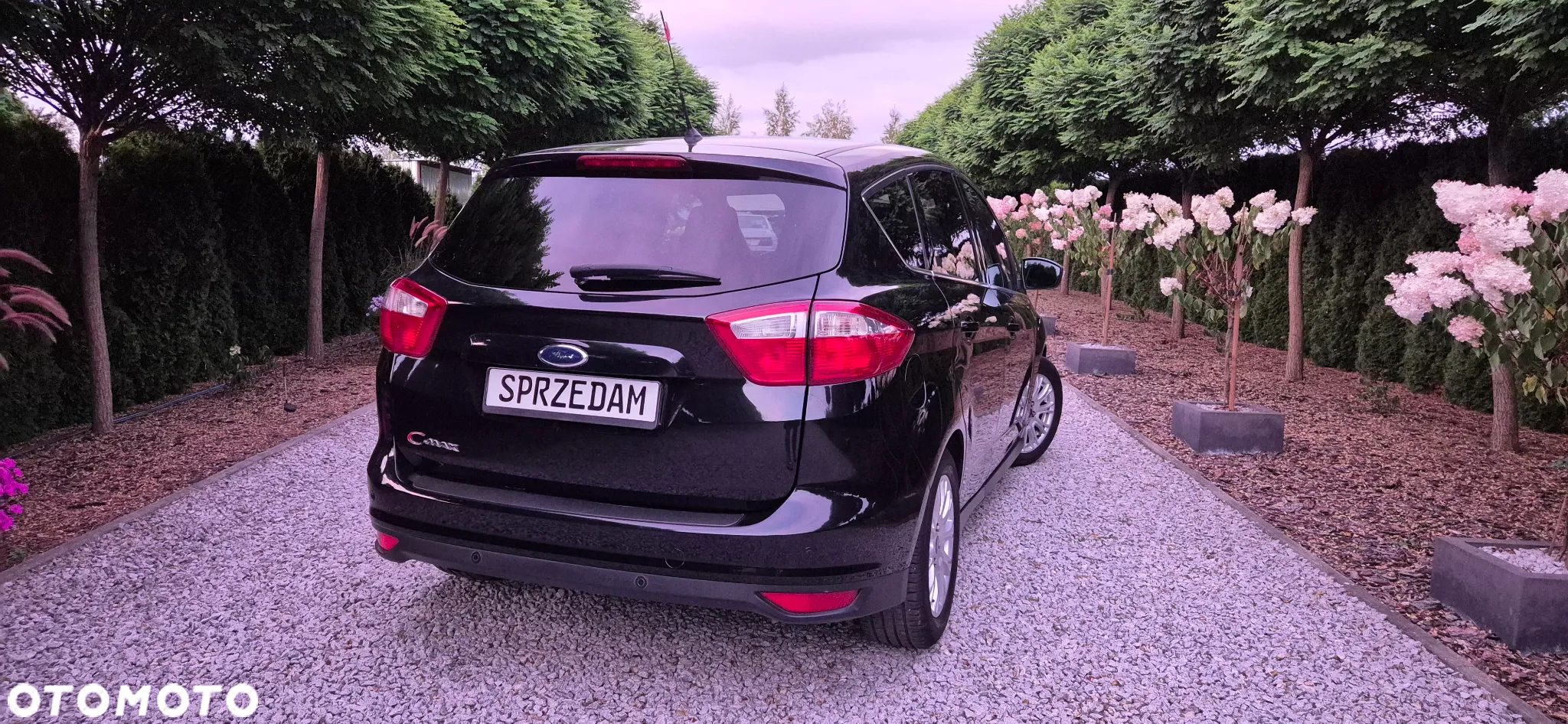 Ford C-MAX 1.6 Titanium - 35