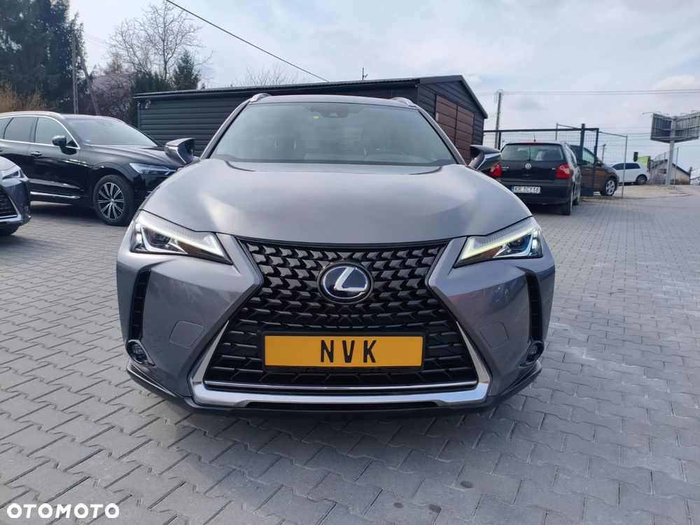 Lexus UX 250h GPF Business AWD - 2