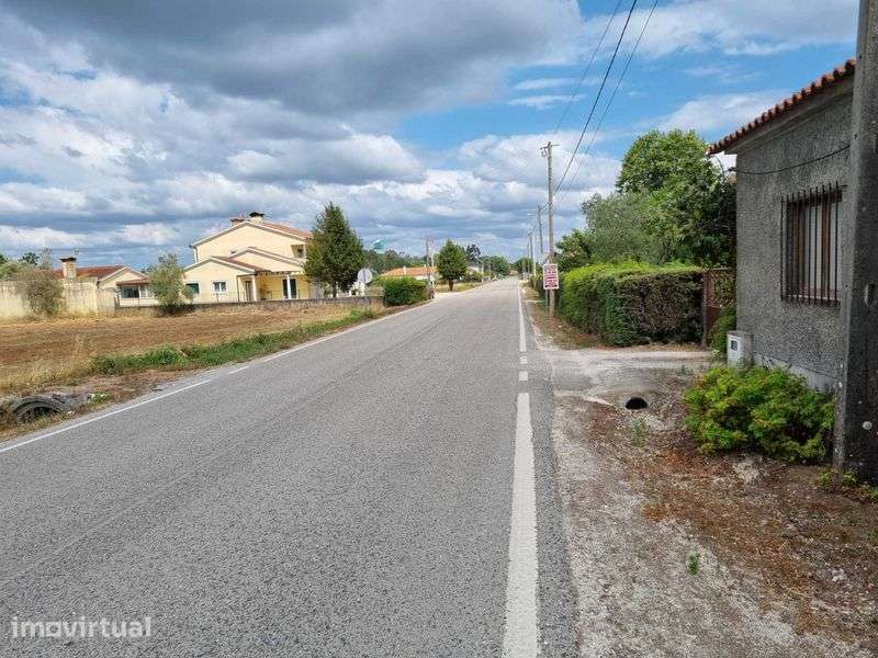Vendo terreno bem situado à beira da estrada Arazêde Tocha - Grande imagem: 2/3