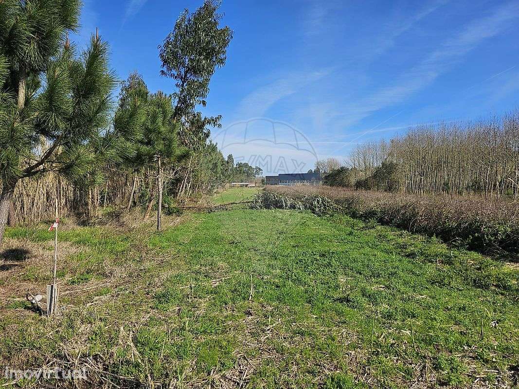 Terreno  para venda - Grande imagem: 3/4