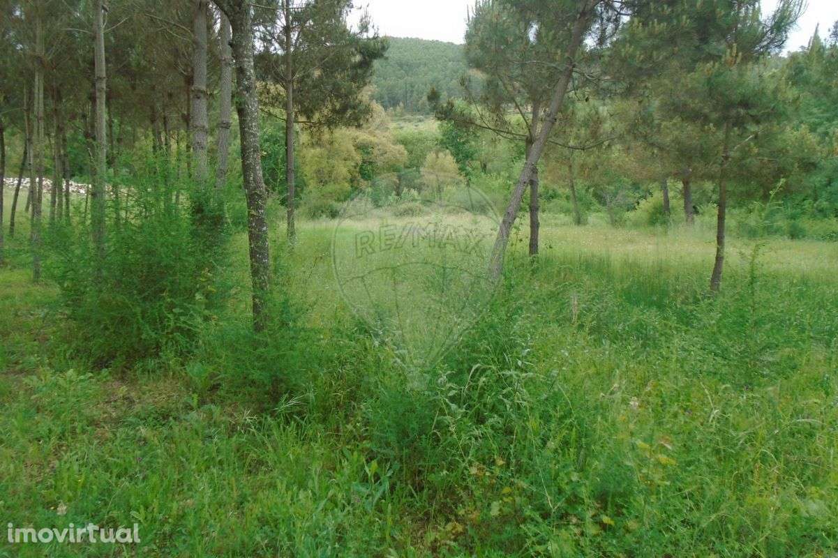 Terreno  para venda - Grande imagem: 2/12