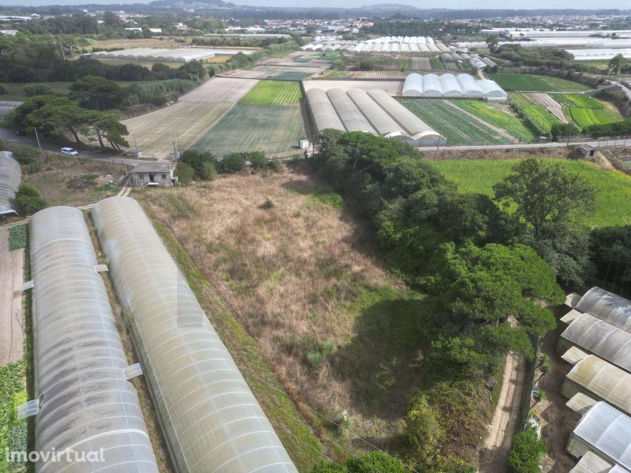 Terreno Rústico 3.750 m2 – Rio Alto, Estela - Póvoa de Varzim - Grande imagem: 5/22