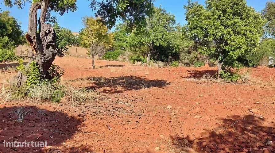 Terreno rústico plano com 4240 m2 no Algarve - Grande imagem: 3/14
