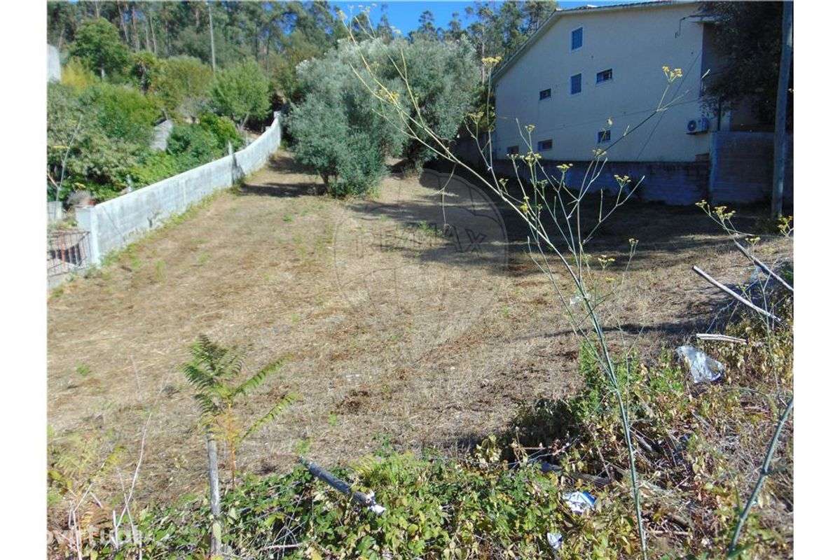 TERRENO para CONSTRUÇÃO - Grande imagem: 4/4