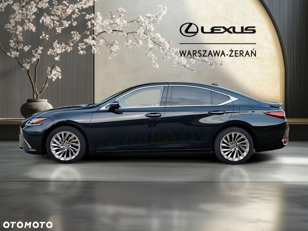 Lexus ES 300h Omotenashi - 4