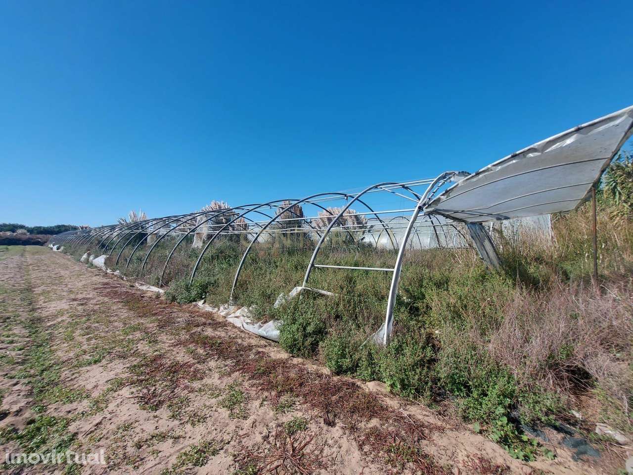 Terreno Rustico em Estela Maninho - Grande imagem: 3/7