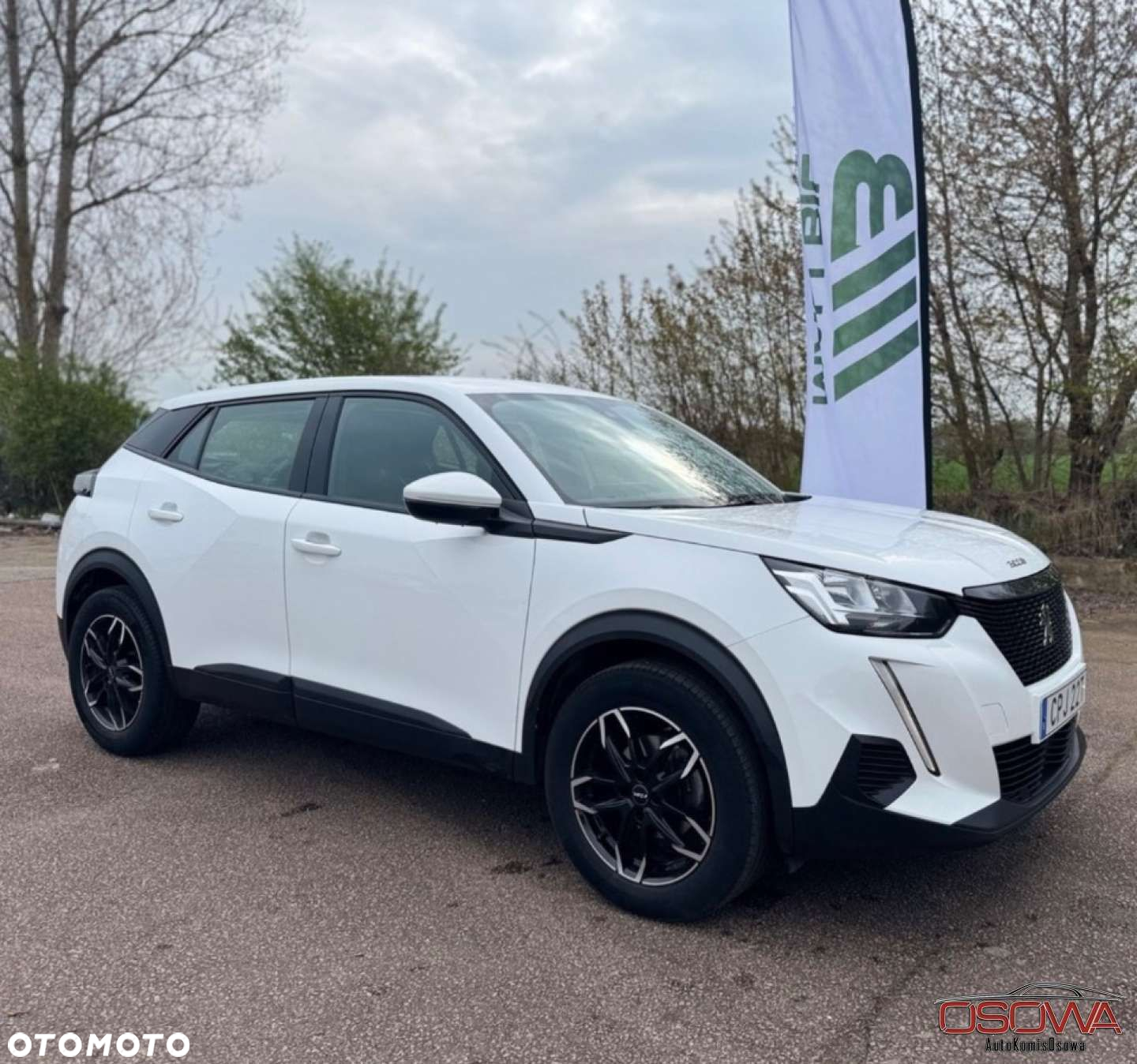 Peugeot 2008 - 8