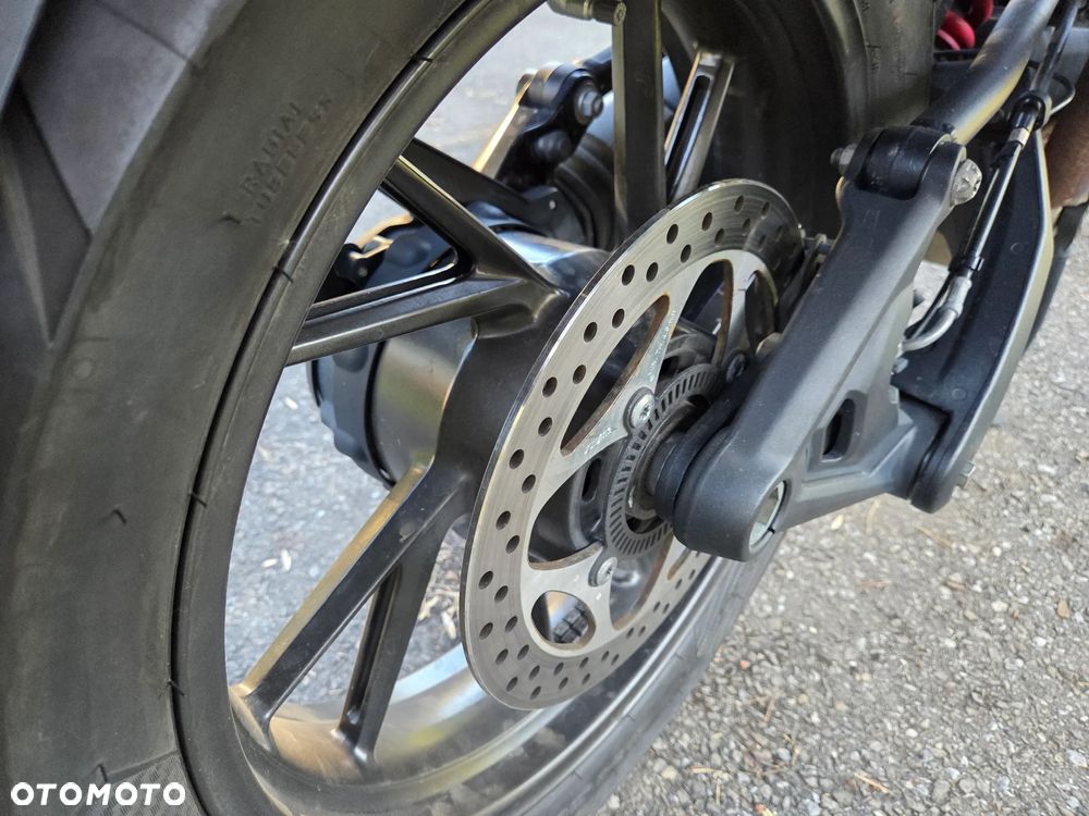Triumph Tiger - 11