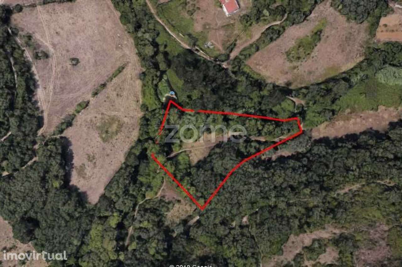 Terreno Rústico na Cabrela, Terrugem - Grande imagem: 3/21
