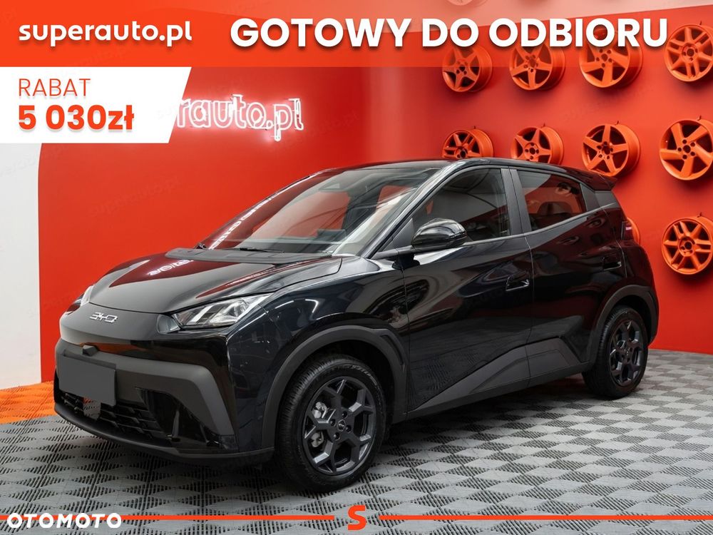 BYD Dolphin Surf - 1