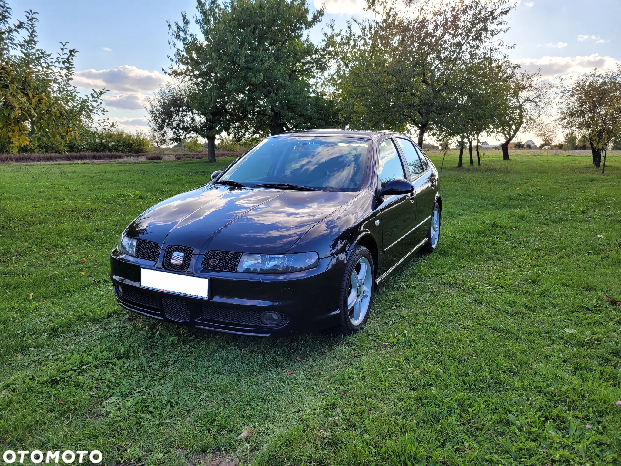 Seat Leon 1.8T Top Sport 4x4 - 6