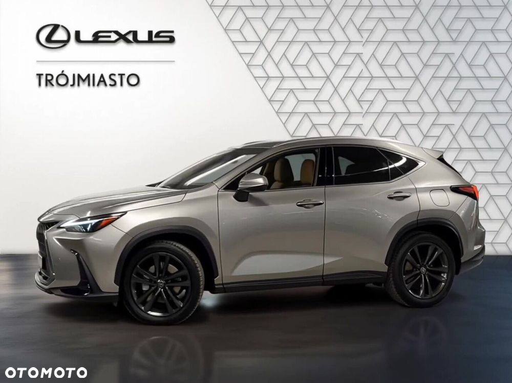 Lexus NX - 20