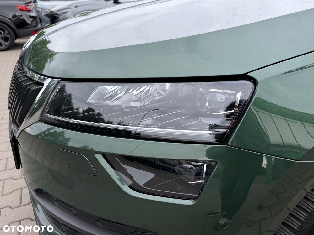 Skoda Karoq - 19