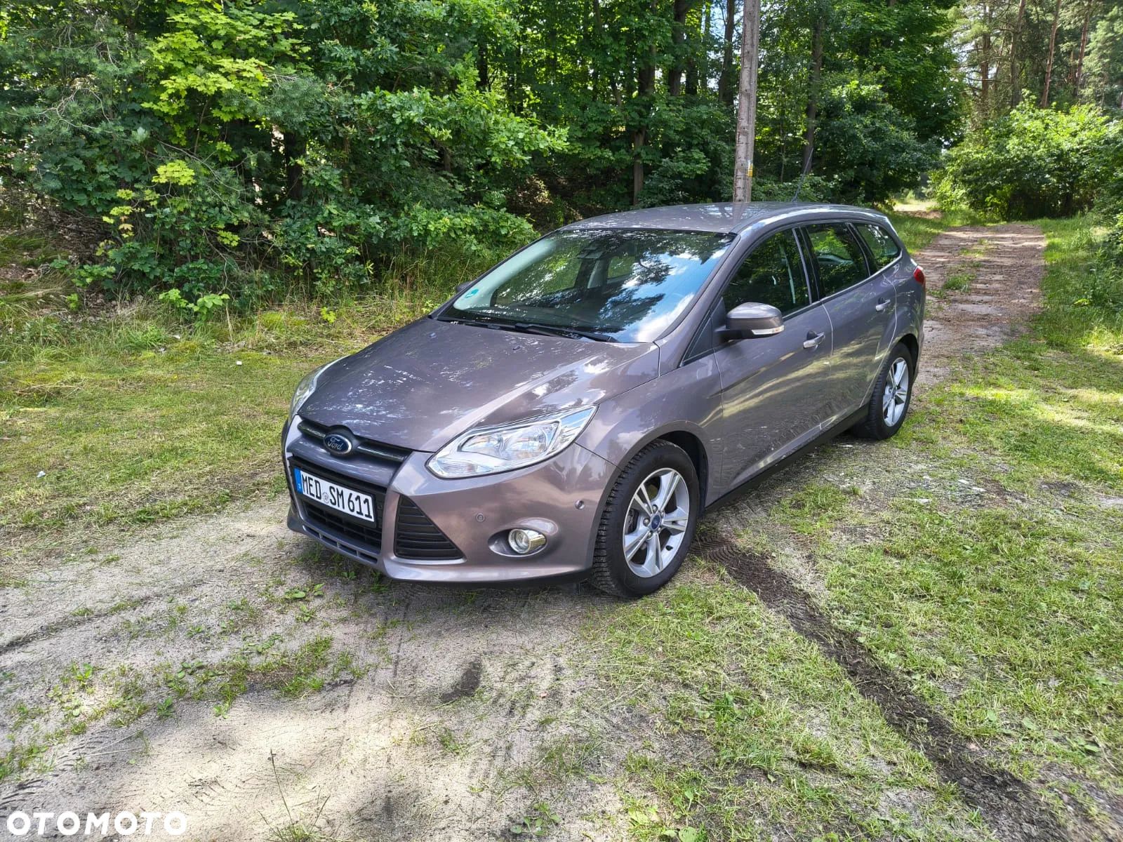 Ford Focus - 1