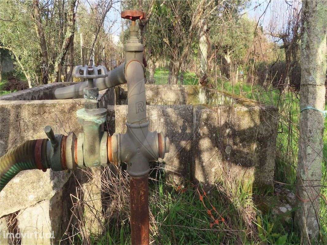 Quinta  para venda - Grande imagem: 2/24