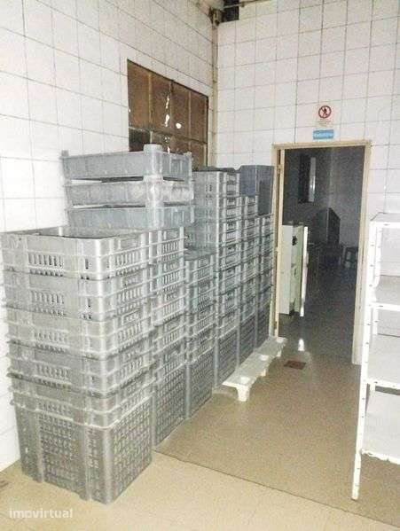 Armazém Espaçoso com Padaria Equipada e Casa de Habitação - Grande imagem: 5/7