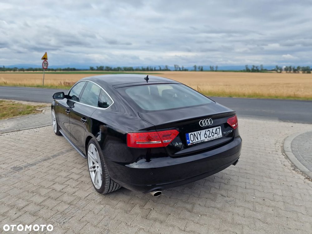 Audi A5 Sportback 3.0 TDI quattro DPF S tronic - 15