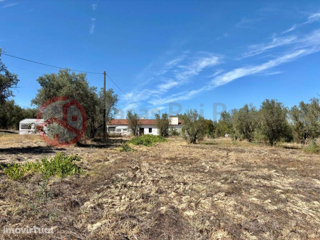 Quinta com moradia isolada e olival, no Couço, Coruche - Grande imagem: 4/31