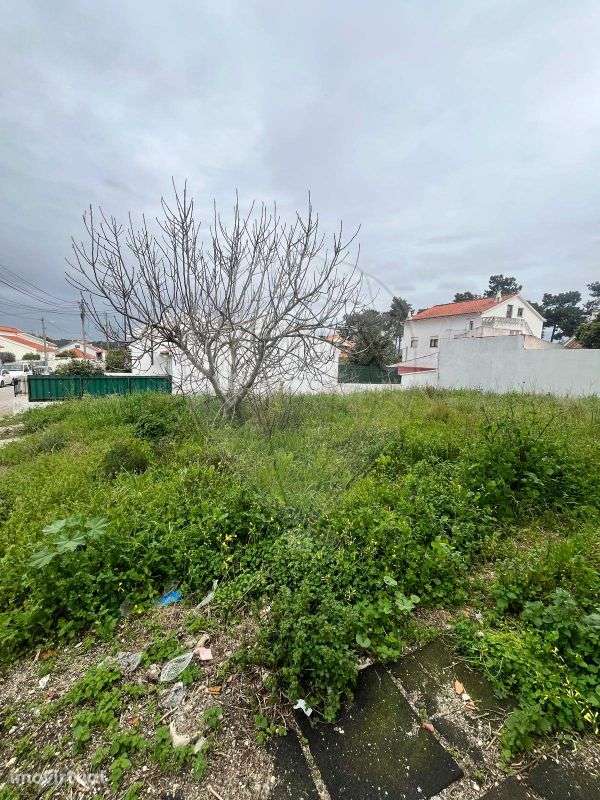 Terreno  para venda - Grande imagem: 3/8