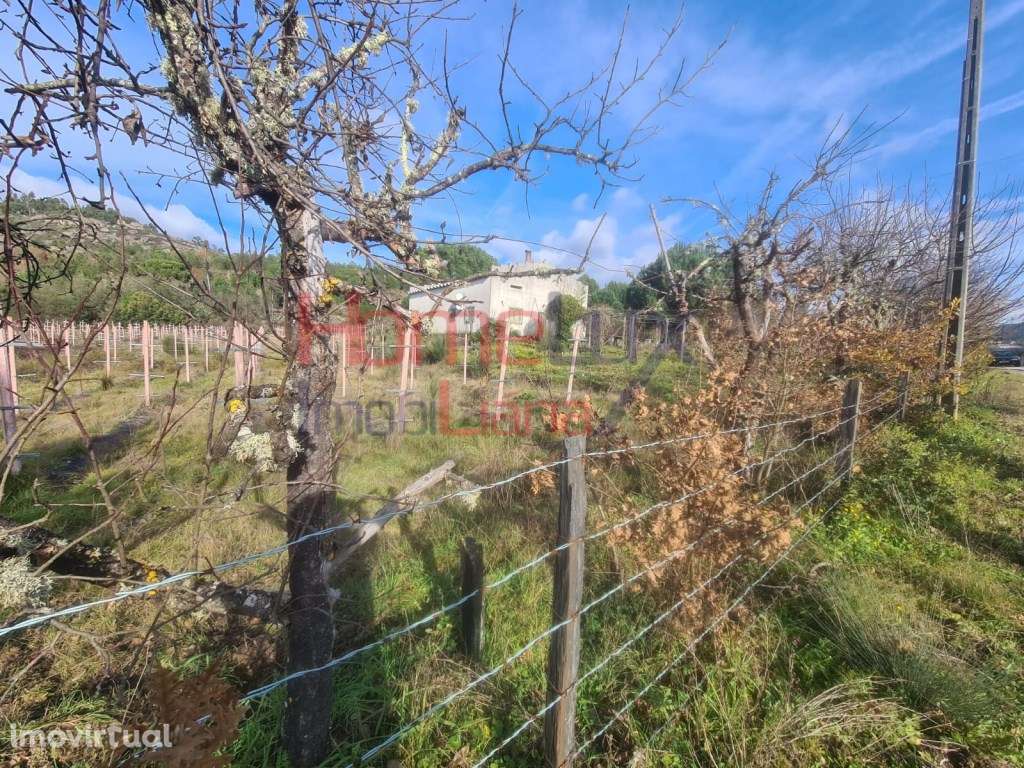 Quinta Agrícola do Dão para venda - Grande imagem: 3/39