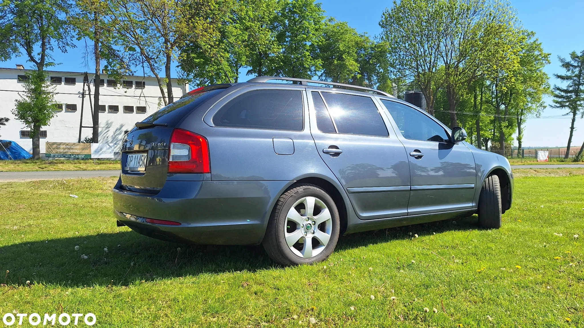 Skoda Octavia Combi 1.6 TDI DPF Classic - 17