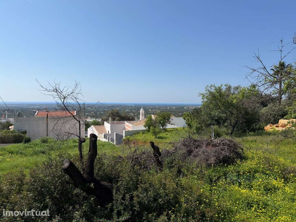Terreno com Projeto Aprovado e Vista Mar - Grande imagem: 3/10