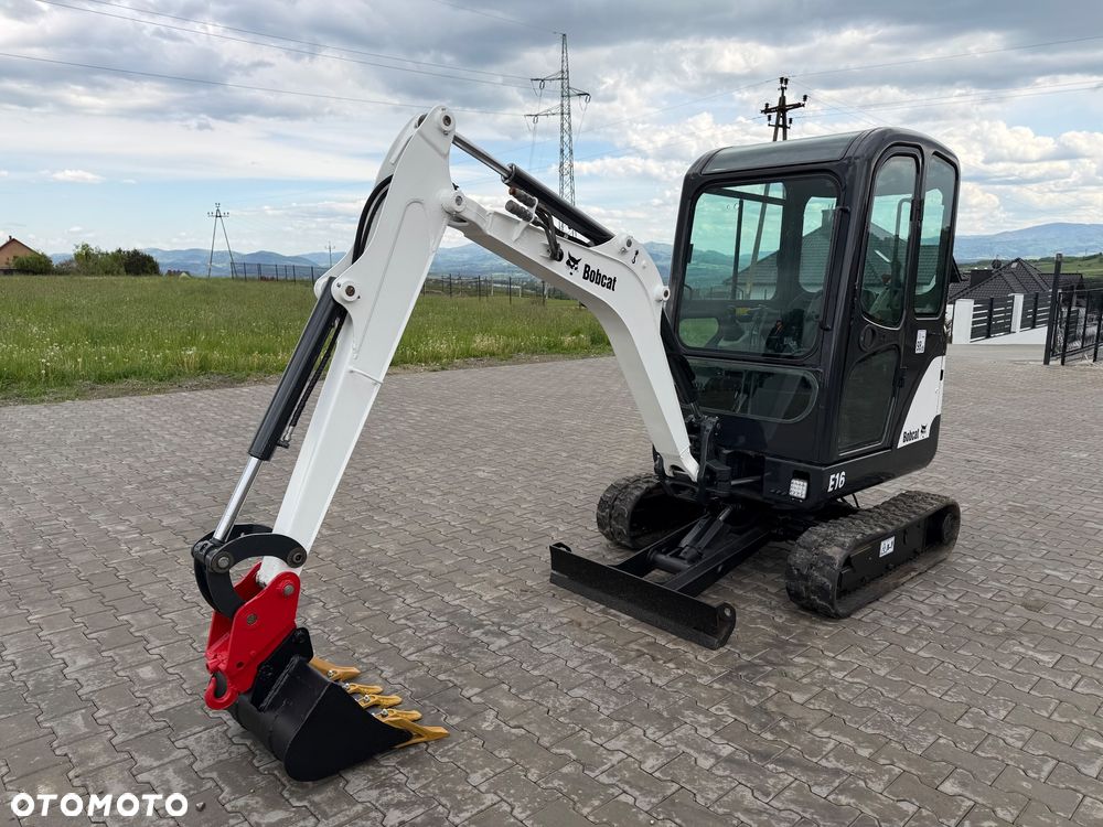 Bobcat - 7