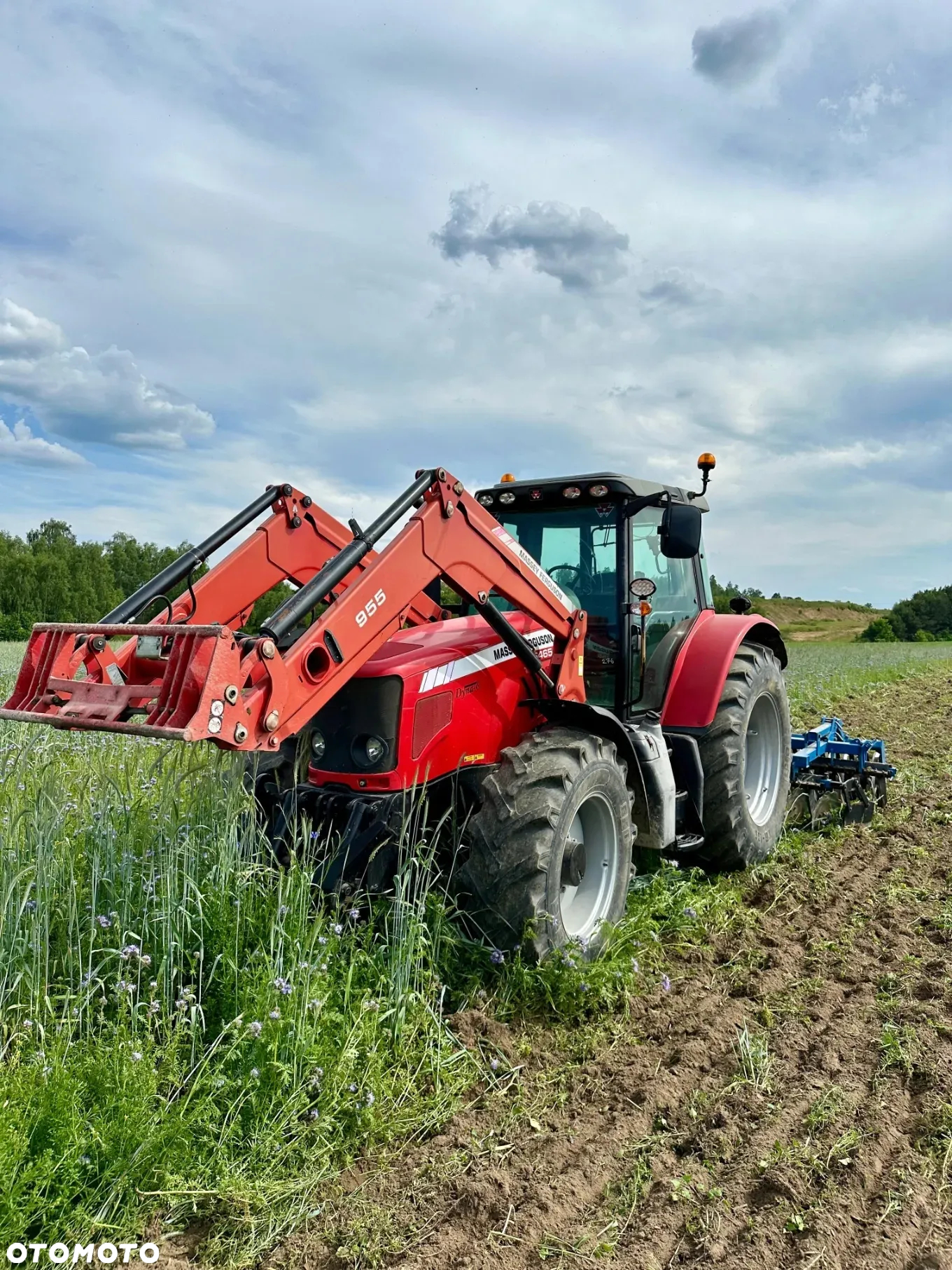 Massey Ferguson 6465 - 13