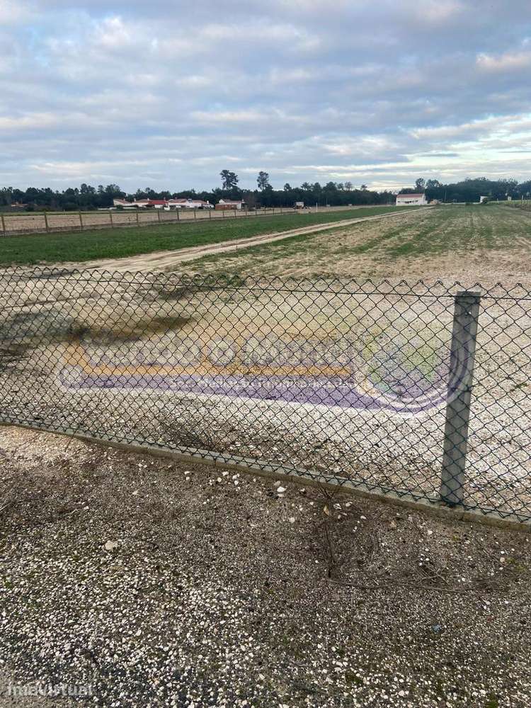 Terreno em Foros de Salvaterra (F798) - Grande imagem: 2/4
