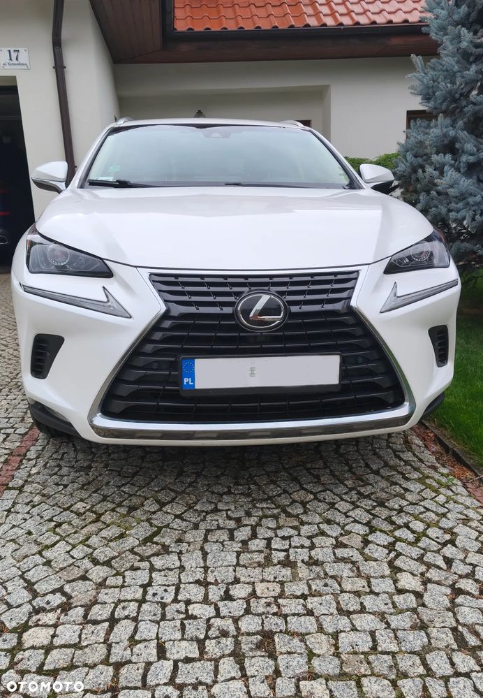 Lexus NX 300 GPF Comfort AWD - 4