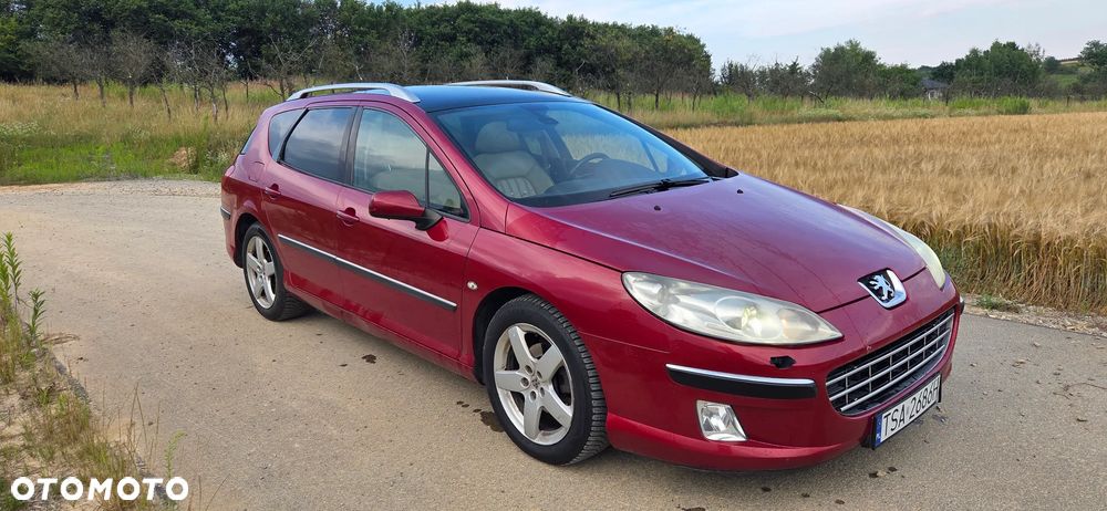 Peugeot 407 - 6