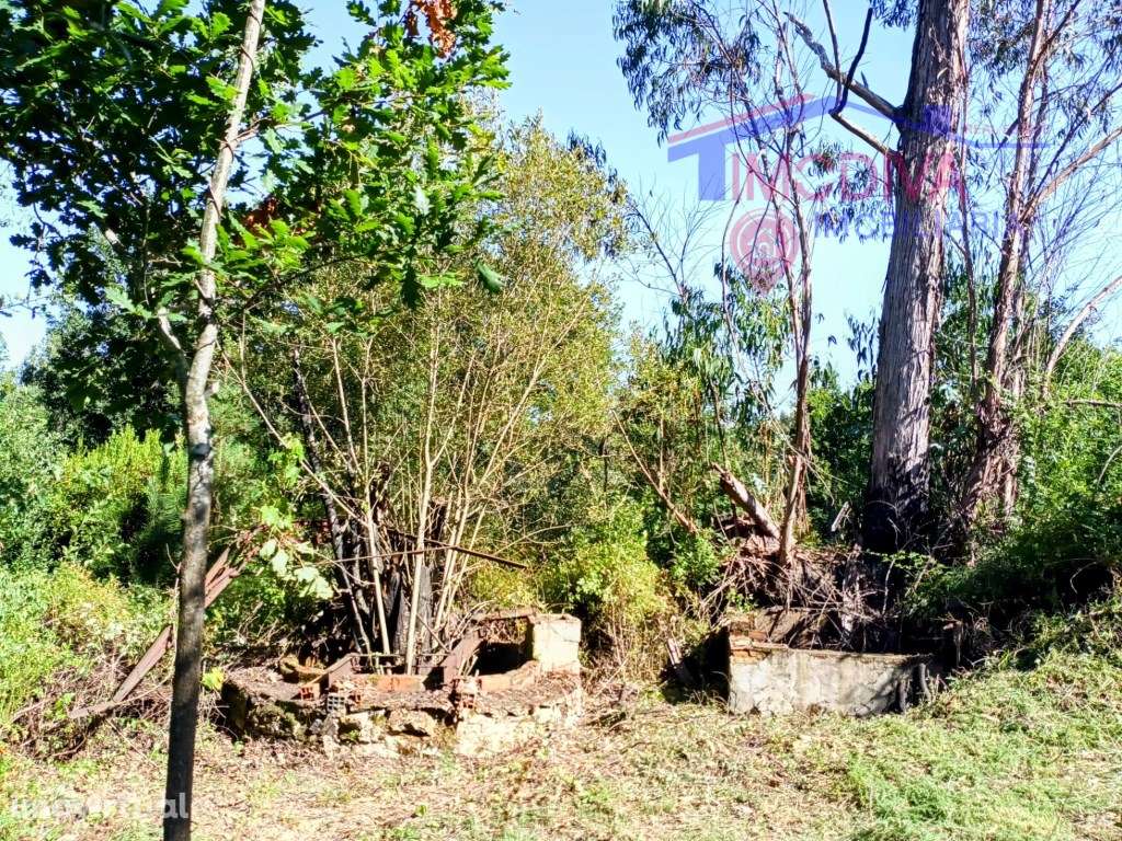 Terreno urbano com antiga ruina com poço de água e excelente área n... - Grande imagem: 5/8