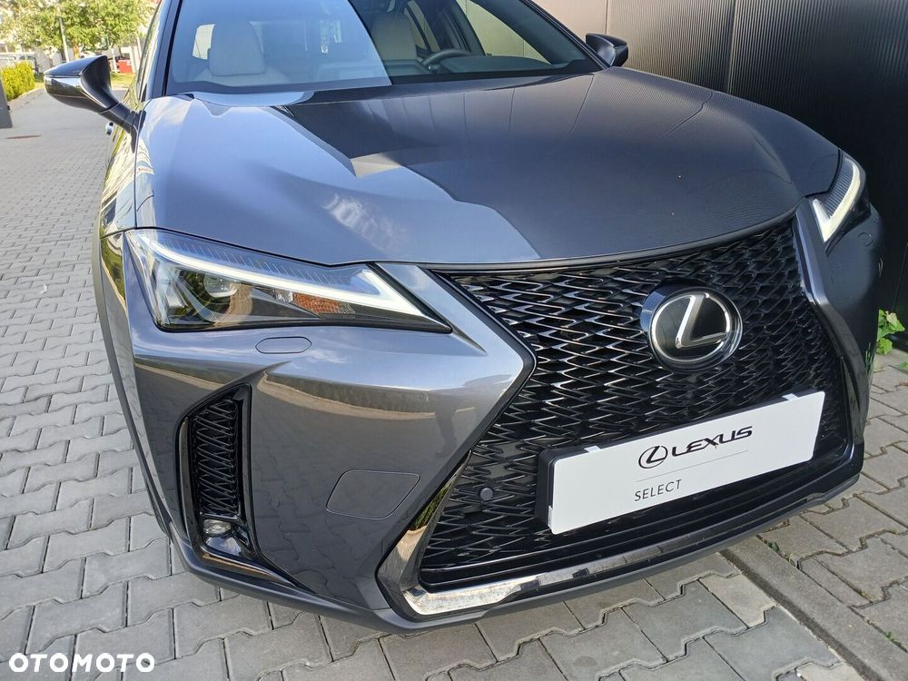 Lexus UX 300h F Sport Design AWD - 33