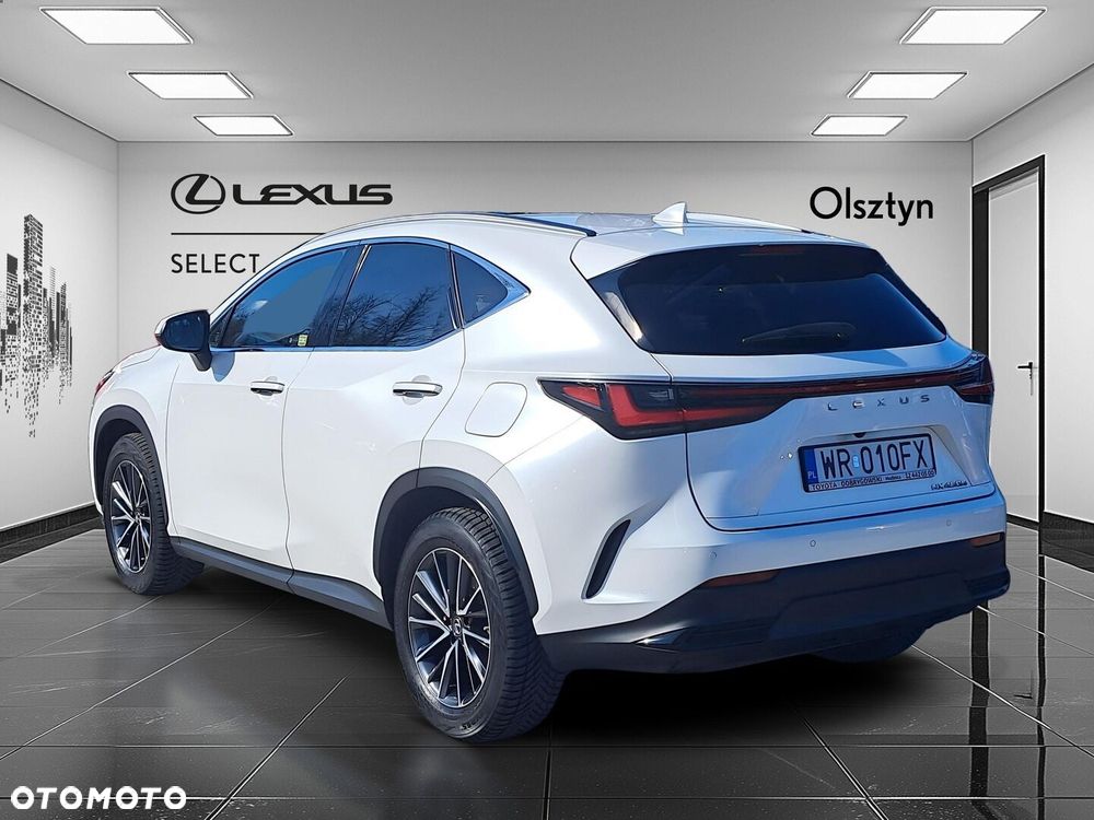 Lexus NX - 6