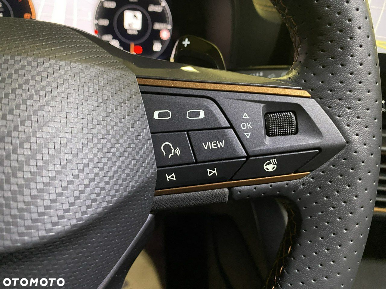 Cupra Formentor 2.0 TSI 4Drive DSG - 19