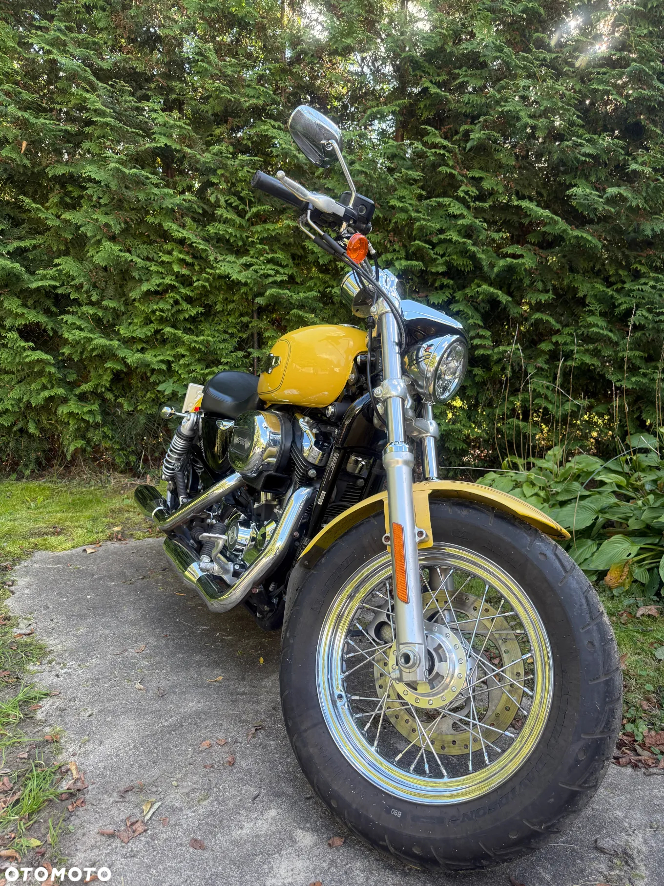 Harley-Davidson Sportster Custom 1200C - 3