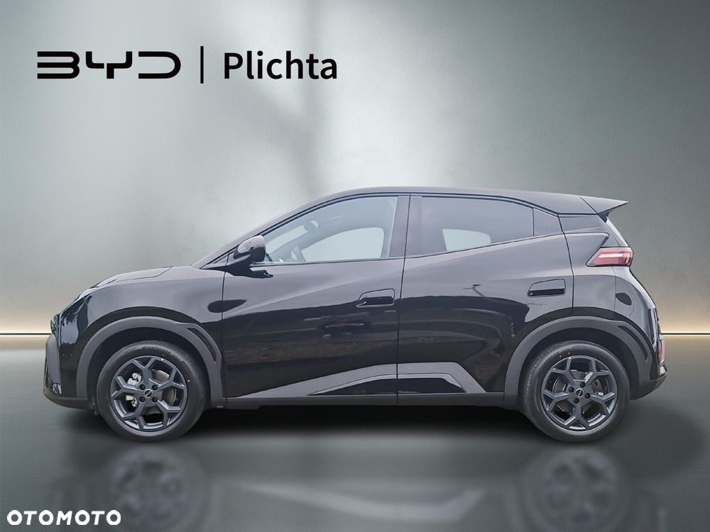 BYD Dolphin Surf - 2