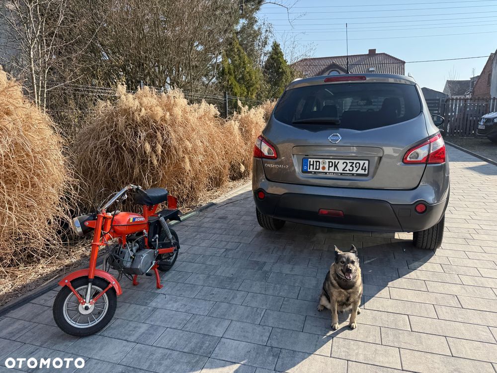 Nissan Qashqai+2 - 3