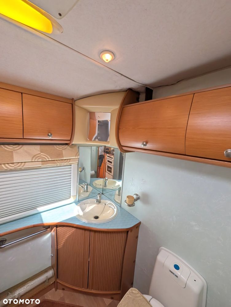 Avondale Golden Avocet - 39