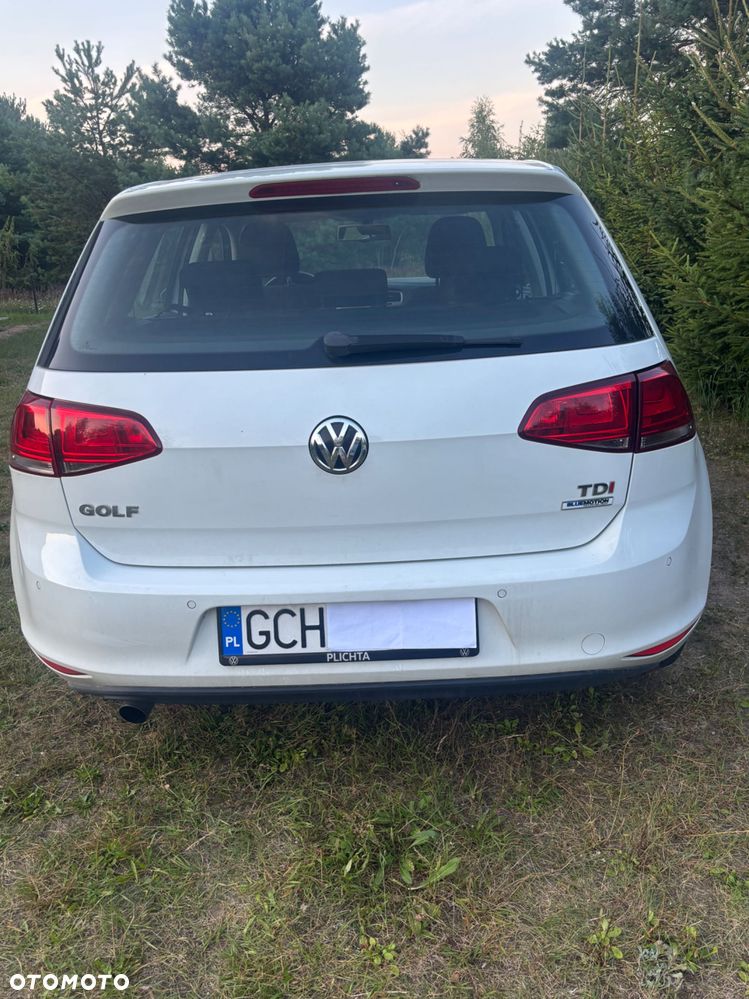 Volkswagen Golf - 4