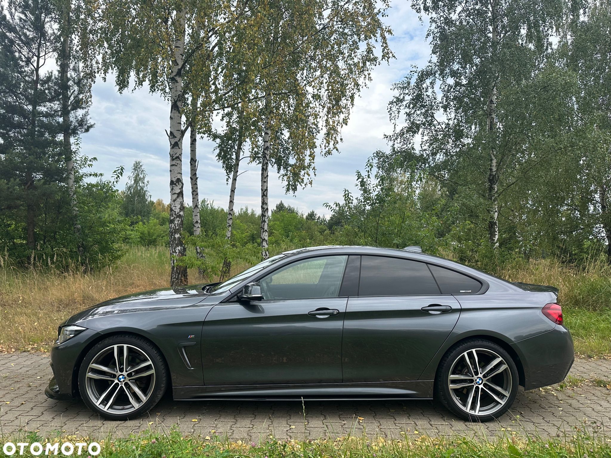 BMW Seria 4 420i Gran Coupe M Sport - 1