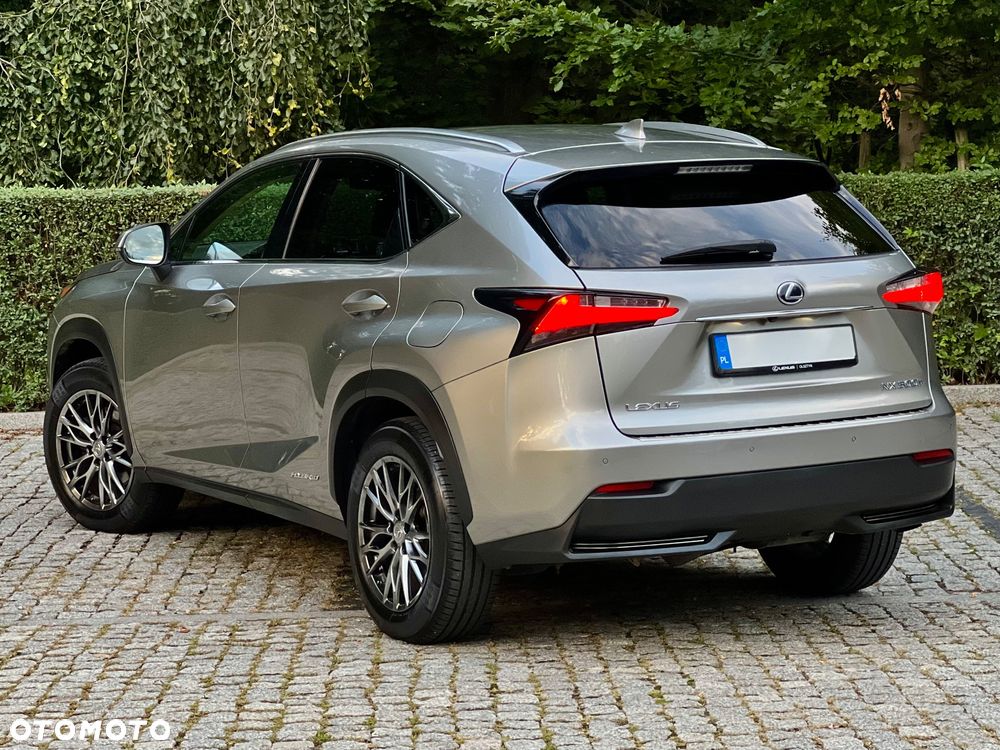 Lexus NX 300h Comfort AWD - 4