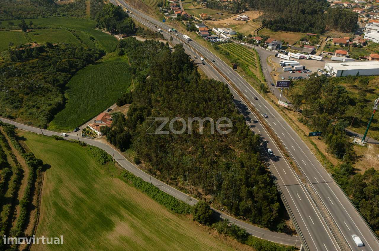 Terreno Florestal em Santo Tirso - Grande imagem: 5/7