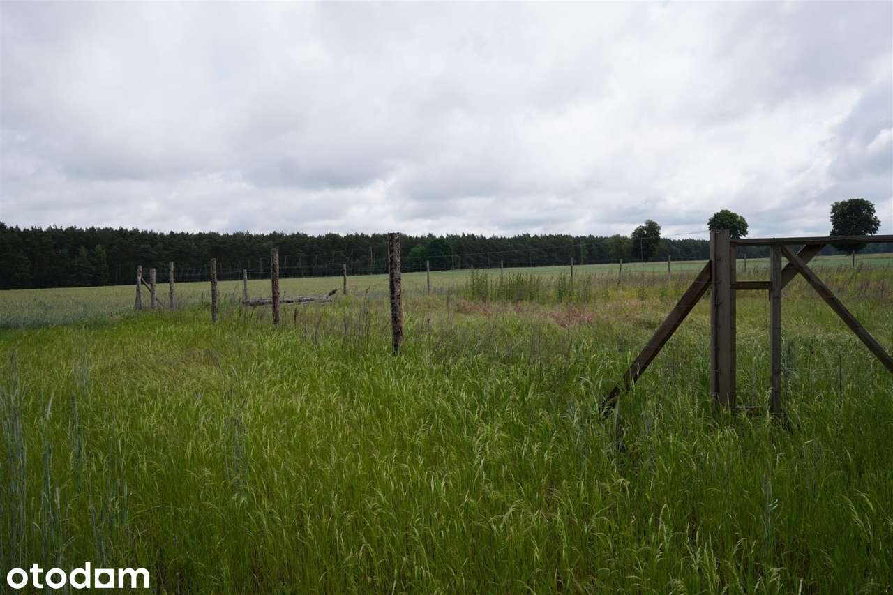 Działka Z Warunkami Zabudowy Budziszewko - Pełny obrazek: 3/10