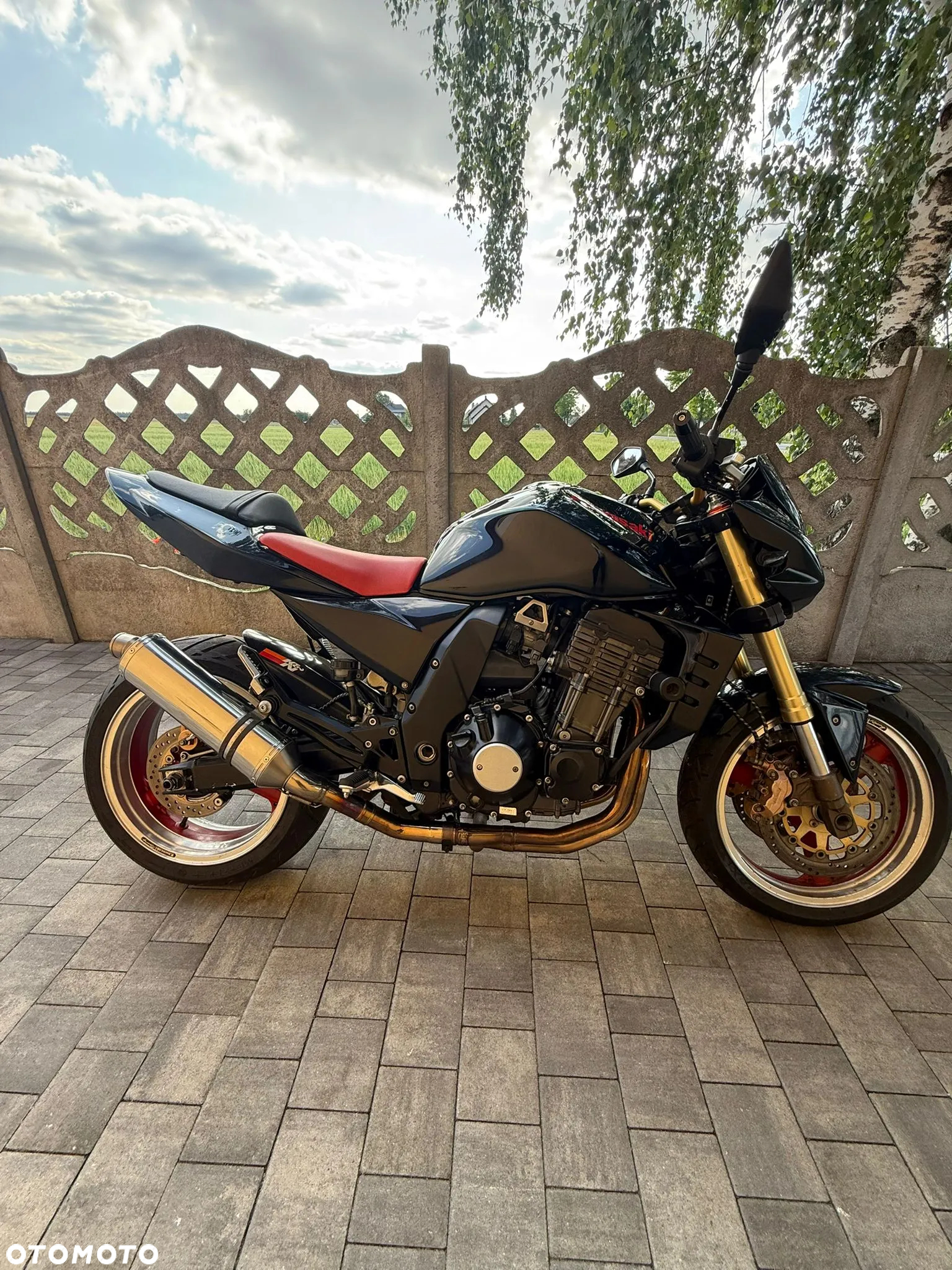 Kawasaki Z - 9