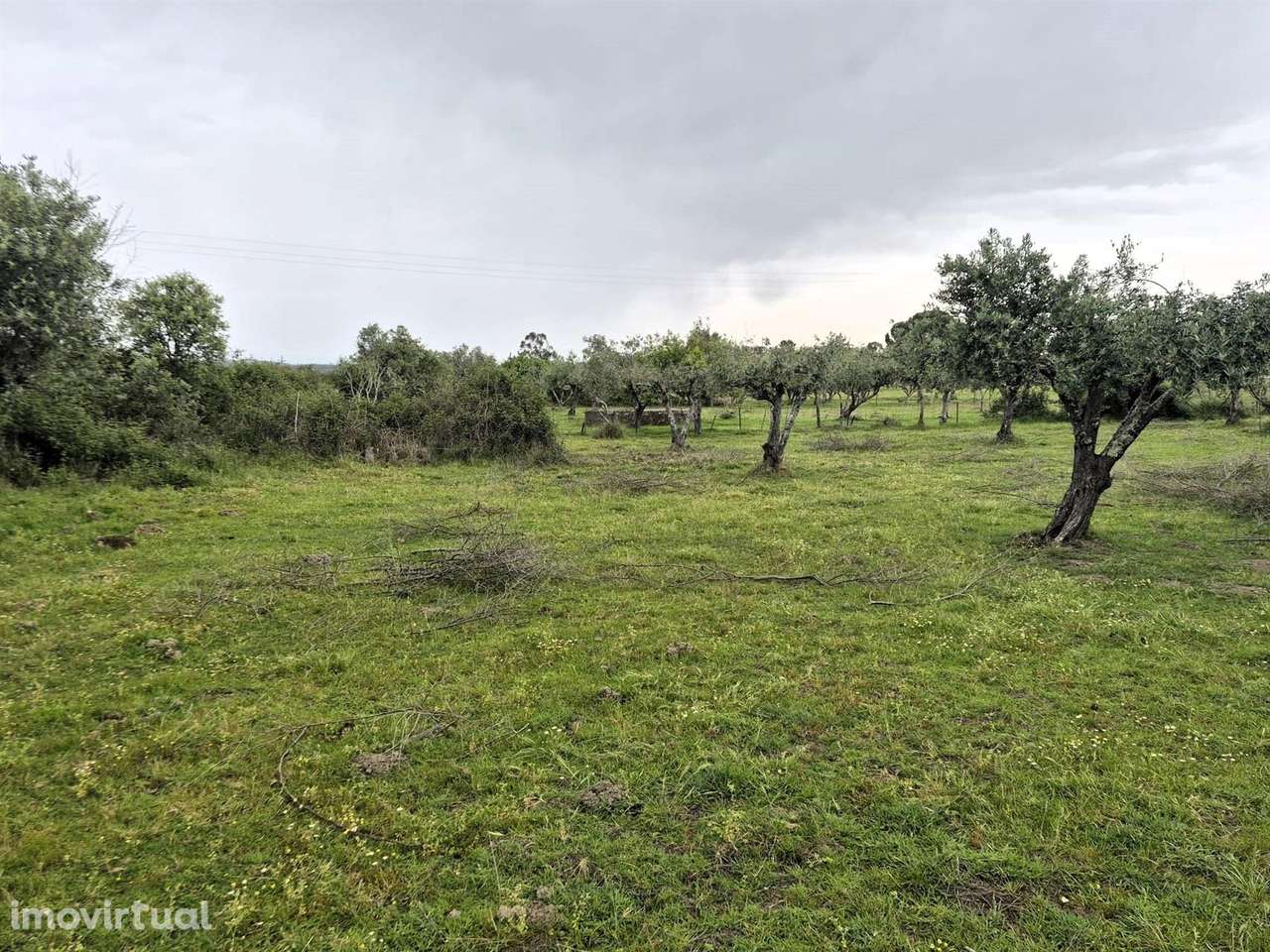 Quinta - Grande imagem: 5/16