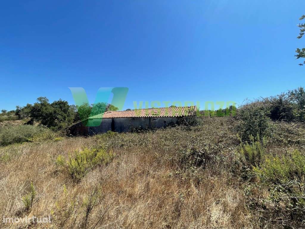 Terreno com 22 Hectares, Duas Ruinas na Zambujeira do Mar - Grande imagem: 2/25