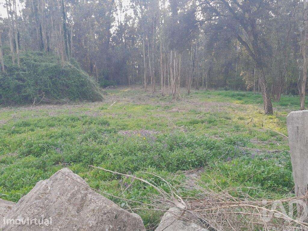 Terreno Agrícola em Requião - Grande imagem: 2/5